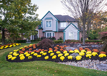 Foundation_plantings Foundation Plantings