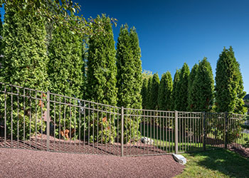 privacy_pasquale Privacy Screens